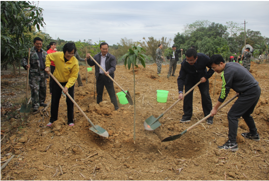 ͼΪ��ί�����ŷ�������г����Լᡢ����Э����ϯ�ܶ��������Ͷ��ֳ���ֲâ������