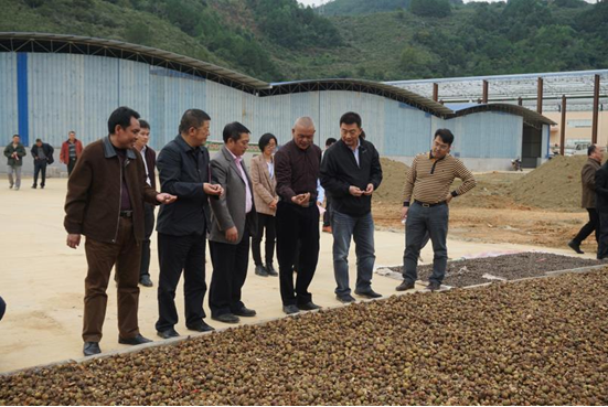 ͼΪ����������������վ������ɼ��Ź�˾�ι�