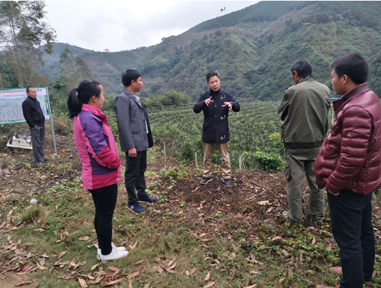 图为田林县政法委何琪洸书记在利周瑶族乡红龙果种植基地现场鼓励平细村村民大力发展村集体经济