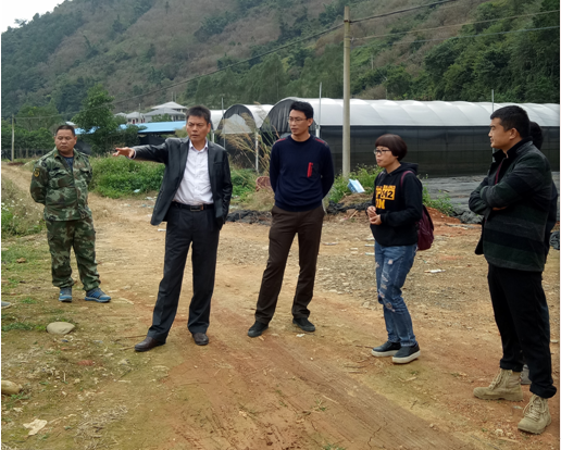 ��ľ��������ִ��ר���ж��ֳ�2