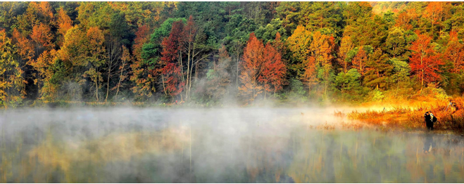 ��Ӱ���������ڽ�������2