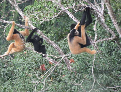 ���缫�ȱ�Σ����&mdash;���ڹڳ���Գ