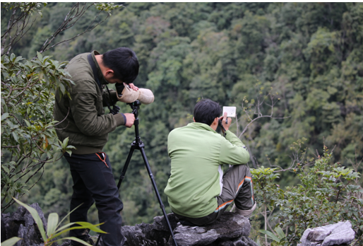 ������Ա���ж��ڹڳ���Գ�о�