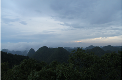 ����������ɭ�־���