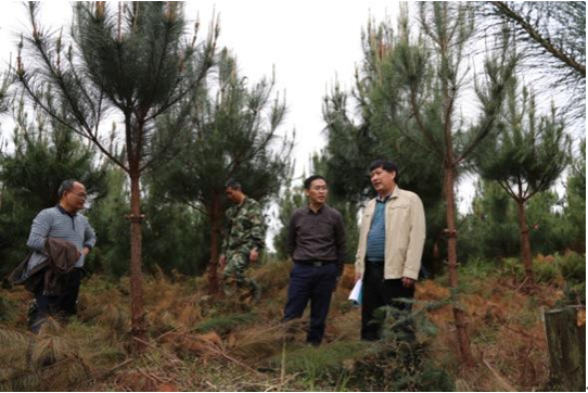 ר���ֳ����2