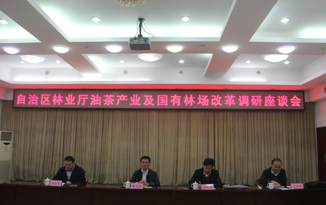 调研组在平果组织召开座谈会