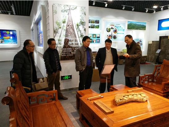 参观林科院科技成果展厅