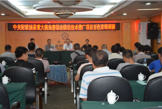 ������ʽ�ֳ�