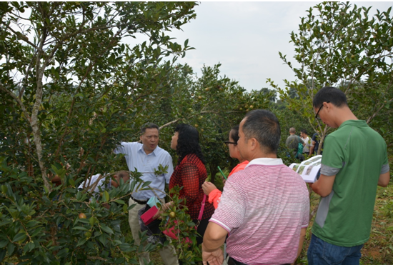 ר���ֳ����ⲡ�溦����֪ʶ