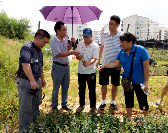 ͼΪ����鵽�Ͳ����Խ��м��