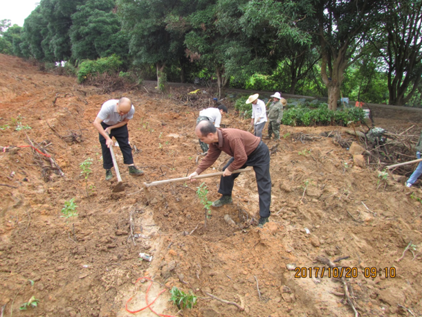 �ֿ���ֲ��ͼ1