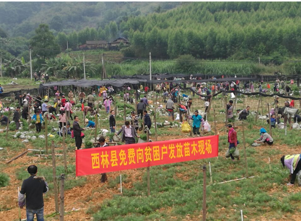 ͼΪƶ���������ֳ�