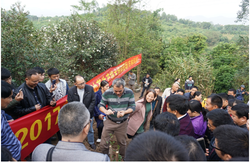 图为马锦林副院长在现场培训油茶生产技术