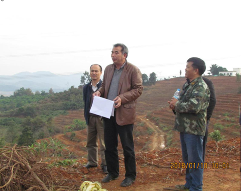 �����ָ�Ժ���������ָ����Ŀ����