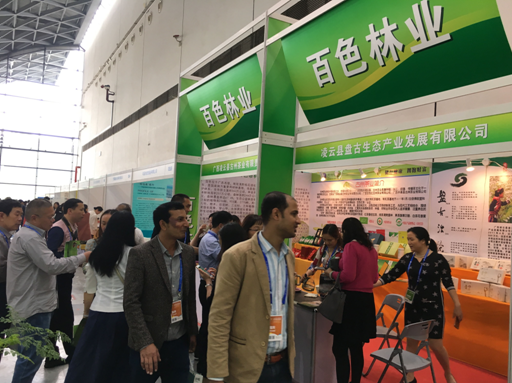 ������˲ι۰�ɫ��ҵչ��