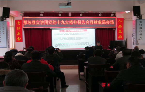 图为宣讲报告会现场(那坡局)