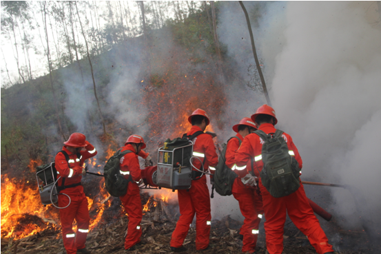 森林消防队员共同作战扑打高强度地表火